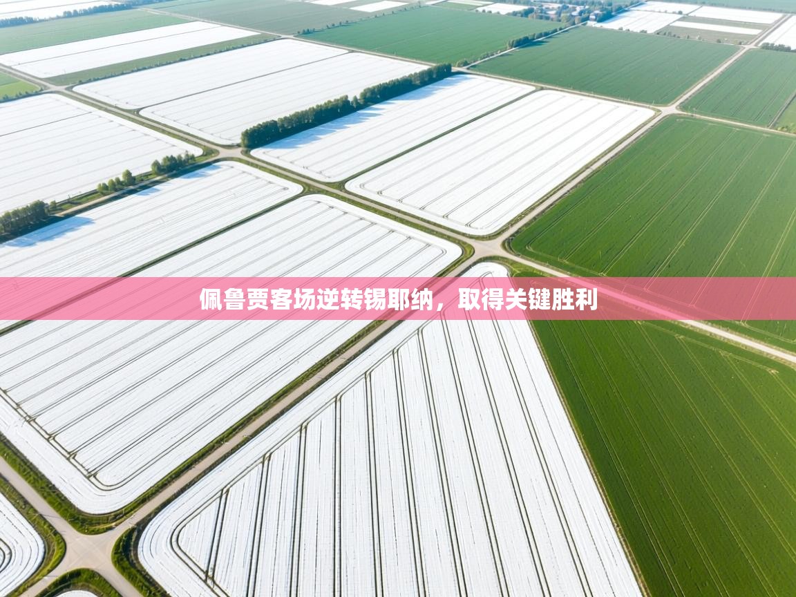 佩鲁贾客场逆转锡耶纳,取得关键胜利 第1张