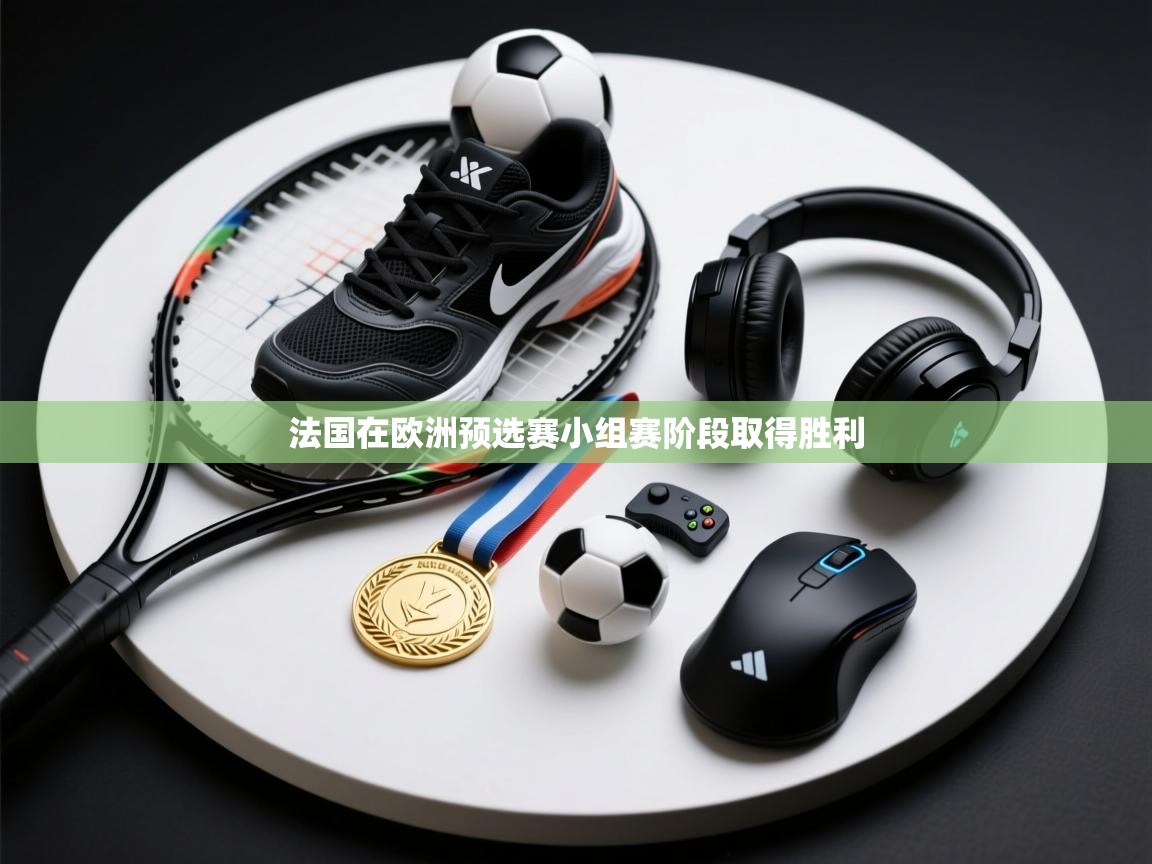 法国在欧洲预选赛小组赛阶段取得胜利  第2张