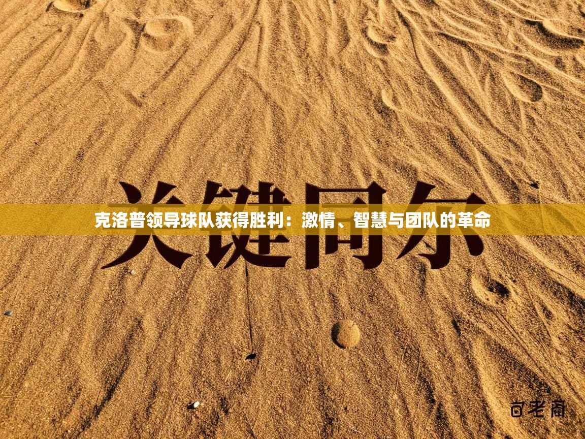 克洛普领导球队获得胜利:激情、智慧与团队的革命 第2张