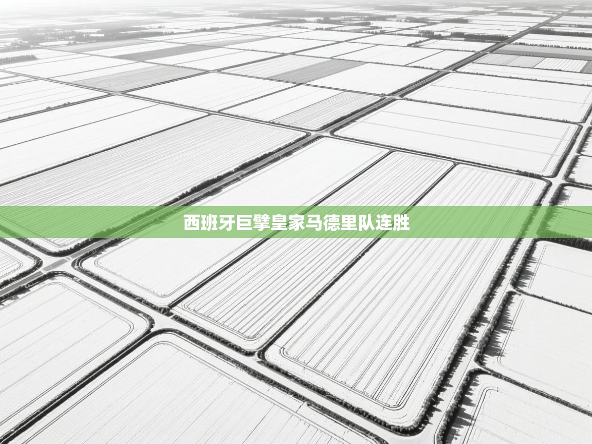 西班牙巨擘皇家马德里队连胜 第1张