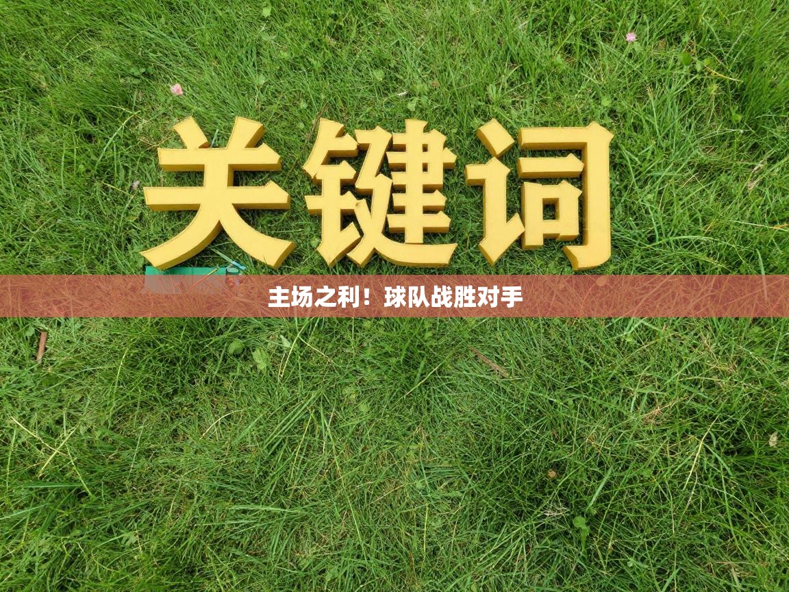 主场之利！球队战胜对手  第2张