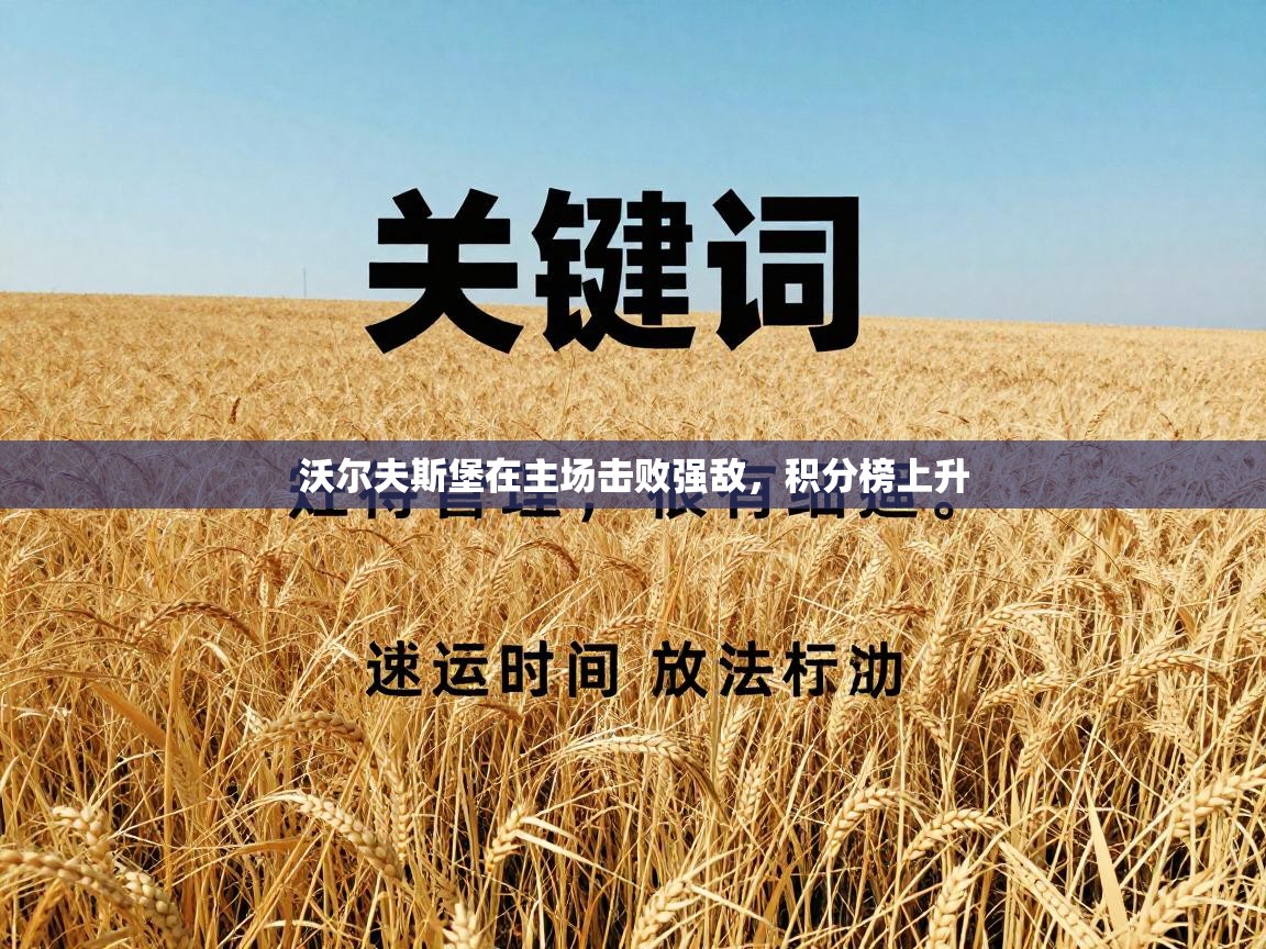 沃尔夫斯堡在主场击败强敌，积分榜上升  第1张